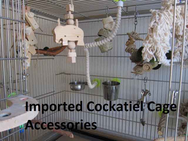 Imported Cockatiel Cage Accessories