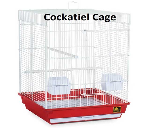 Cockatiel Cage