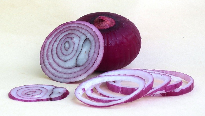 Can Guinea Pigs Eat Red Onions